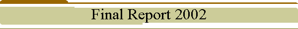 Final Report 2002