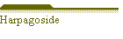Harpagoside